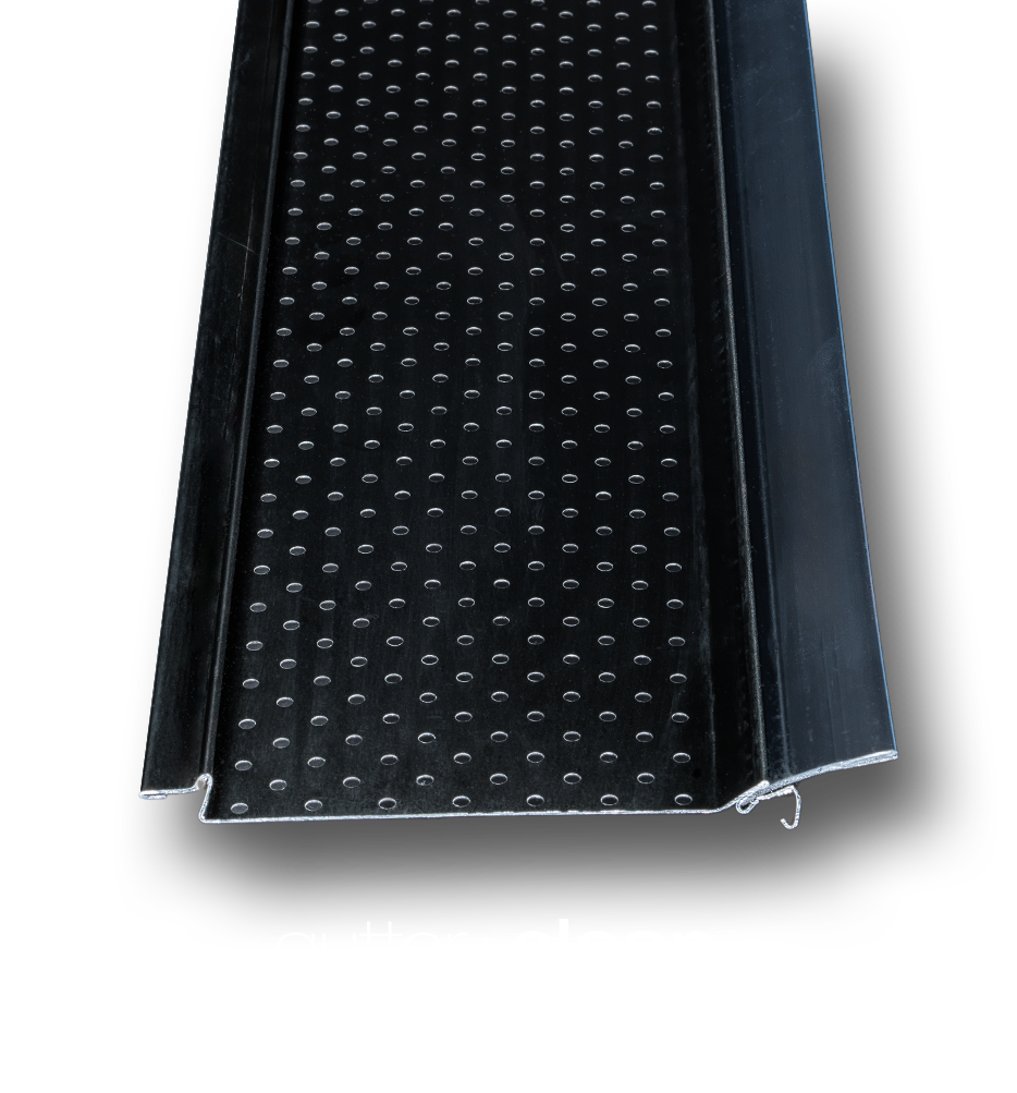 gutterclean-en